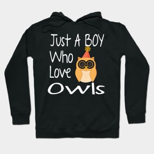 Just A Boy Who Love Owls  Funny Gift Hoodie